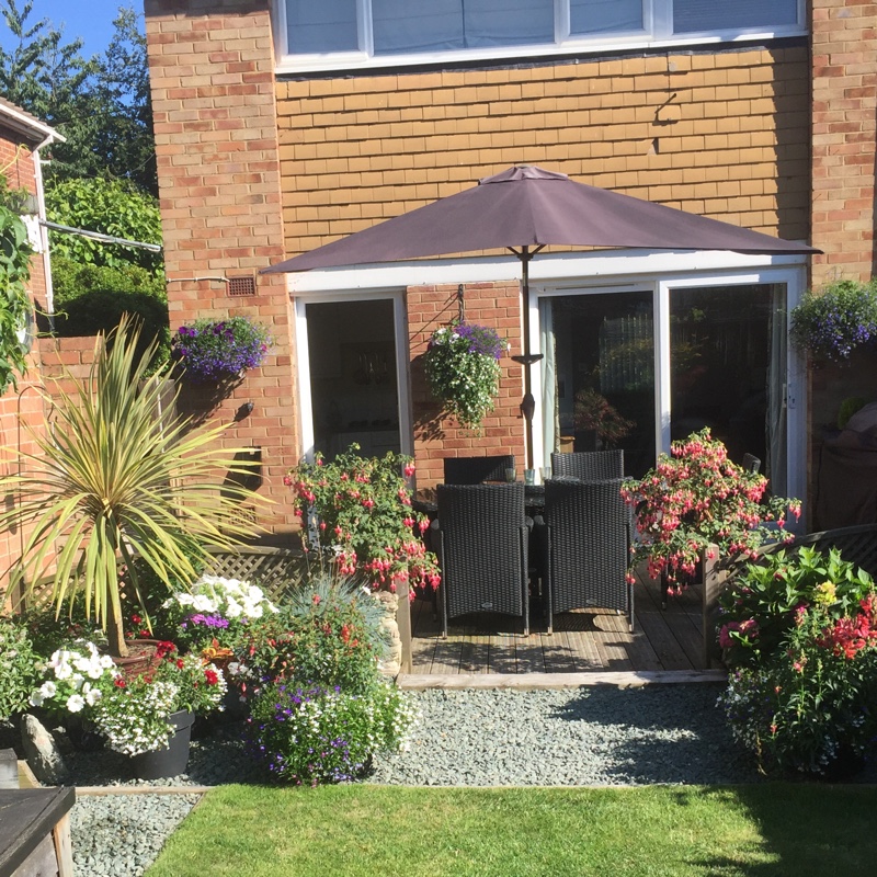 Jane's garden