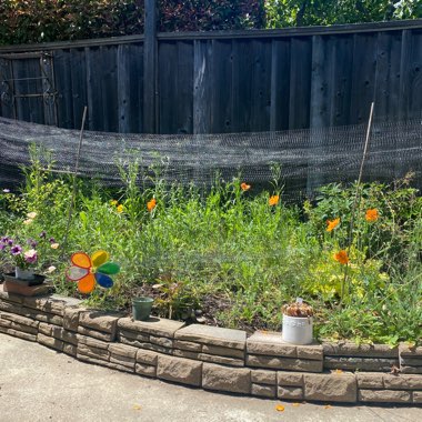 Cherry's garden