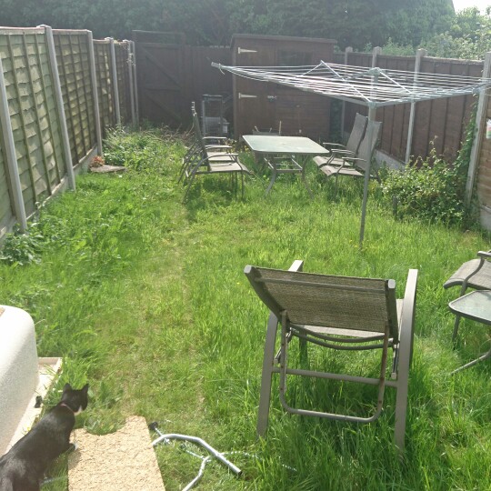 Kelly 's garden