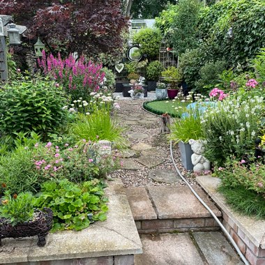 Marg's garden