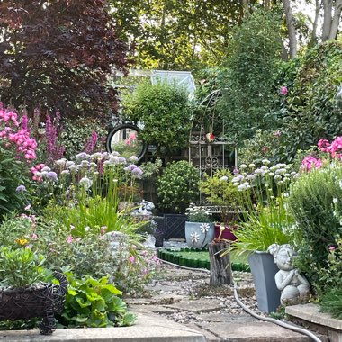Marg's garden