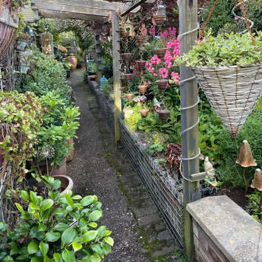 Marg's garden