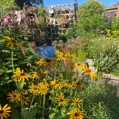 Marg's garden
