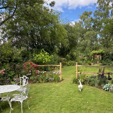 Dan's garden