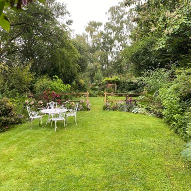 Dan's garden