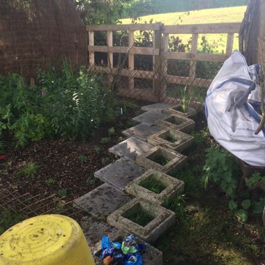 Nigel's garden