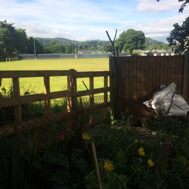 Nigel's garden