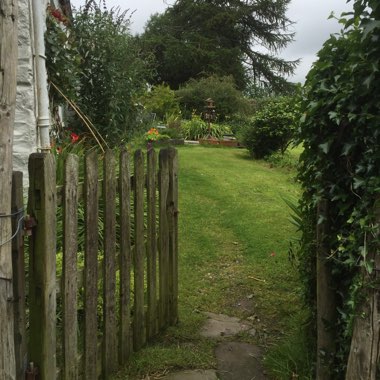 Diane's garden