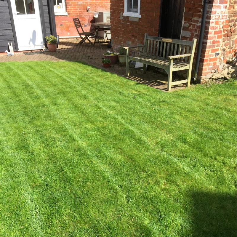Darren's garden