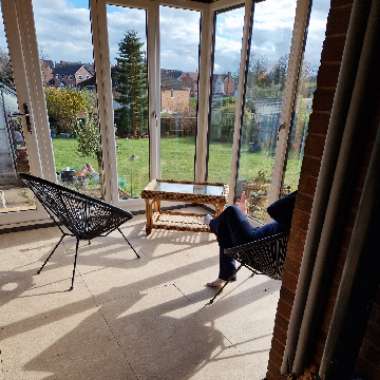 David's garden