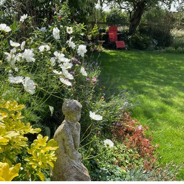 David's garden