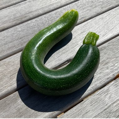 Courgette