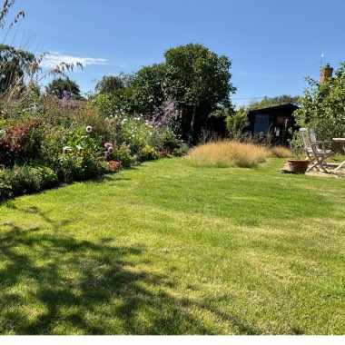 David's garden