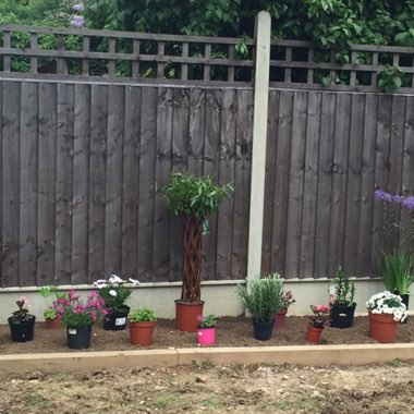 Deb's garden