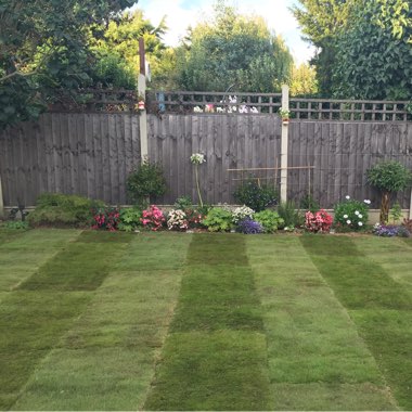 Deb's garden