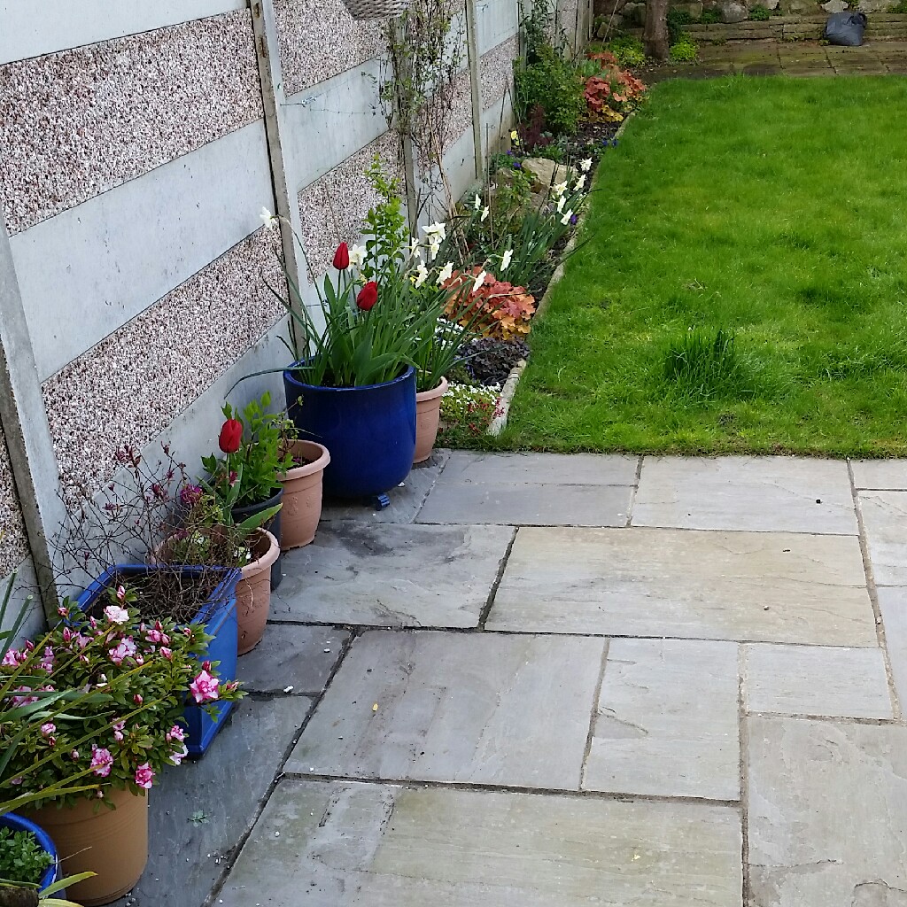 Deb's garden