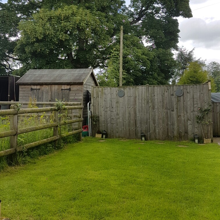 Lucy's garden