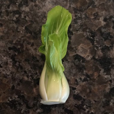 Brassica Rapa var Chinensis