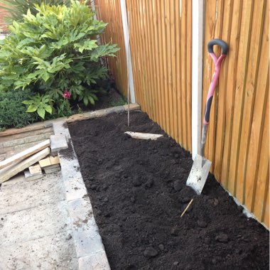 Diane's garden