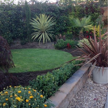 Diane's garden