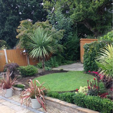 Diane's garden