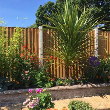 Diane's garden