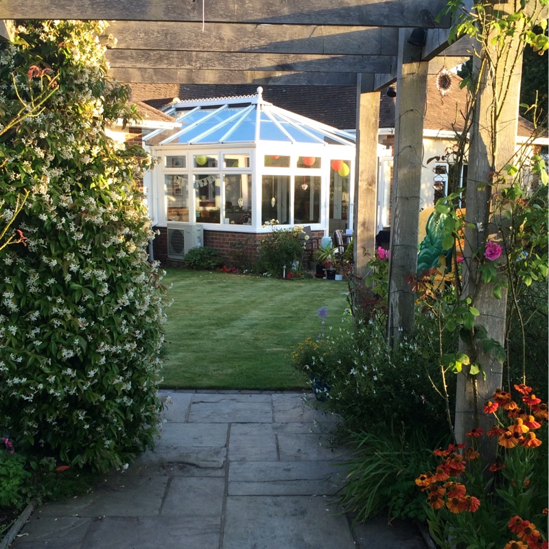 Diane's garden