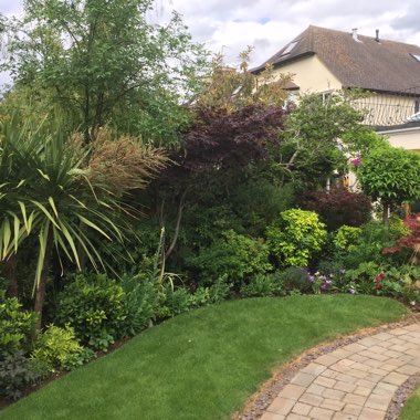 Duncan's garden
