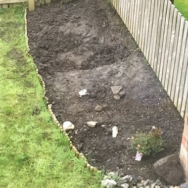 Derek's garden