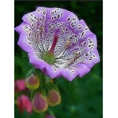 Digitalis