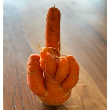 Carrot