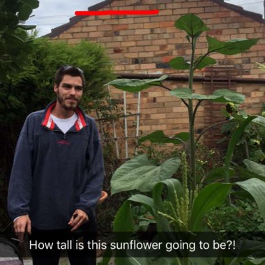 Rory's garden