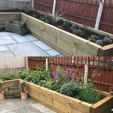 Donna's garden