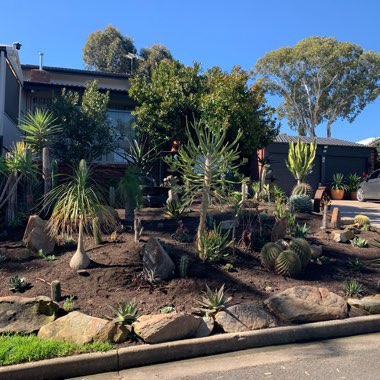 Keith's garden