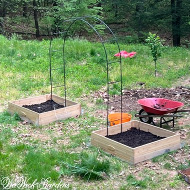 Dragon_'s garden