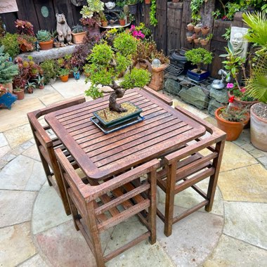 Geoff's garden