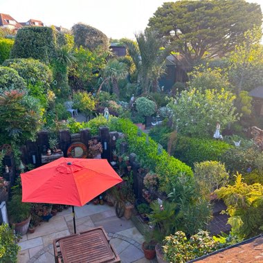 Geoff's garden