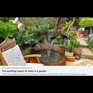 Geoff's garden