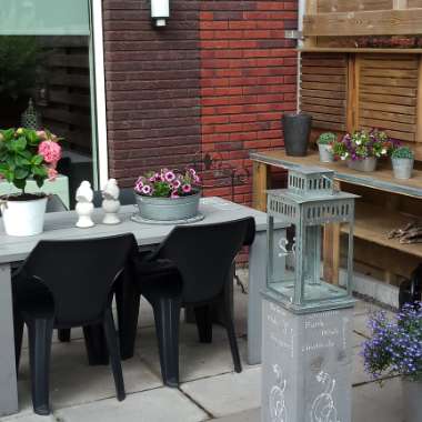 Peter's garden