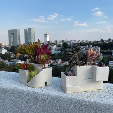 Dora Y Alvaro's garden