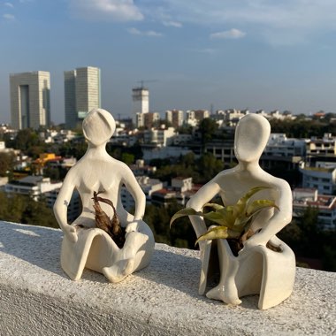 Dora Y Alvaro's garden