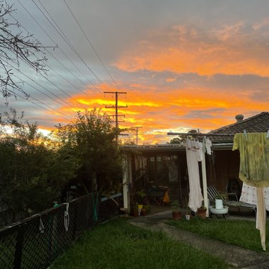 Cassie's garden