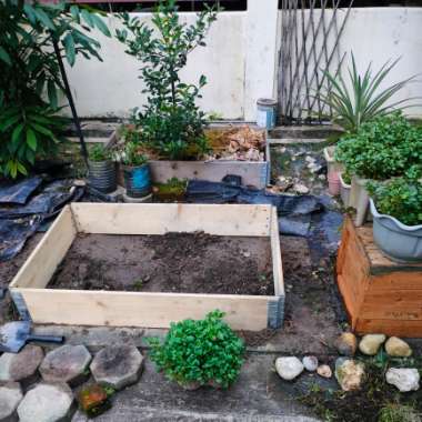Elly's garden