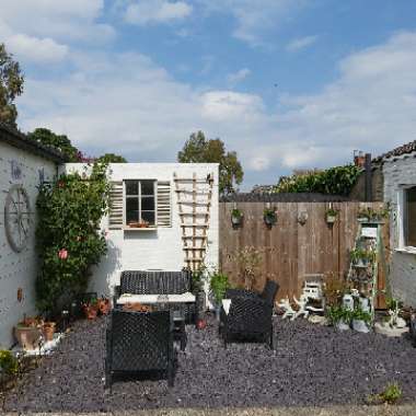 Maria's garden