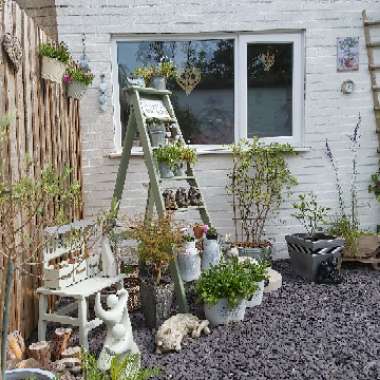 Maria's garden