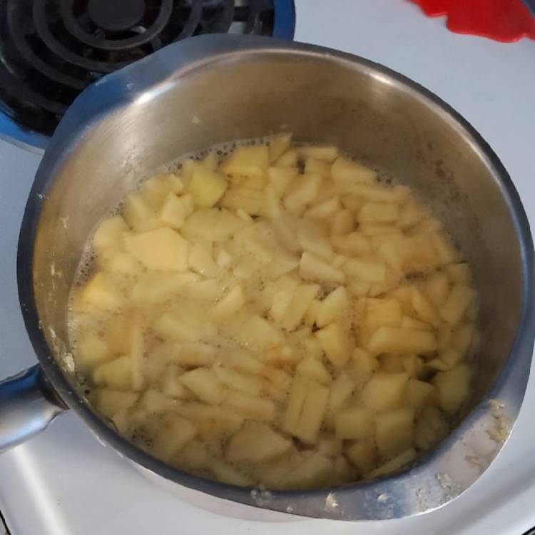 plant image 1637340