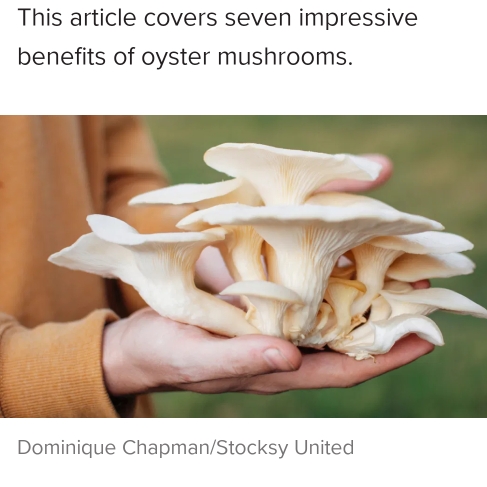 Plant image Pleurotus Ostreatus