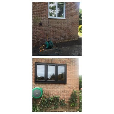 Emily's garden