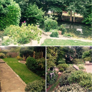 Emily's garden
