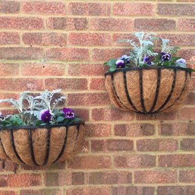 Emily's garden